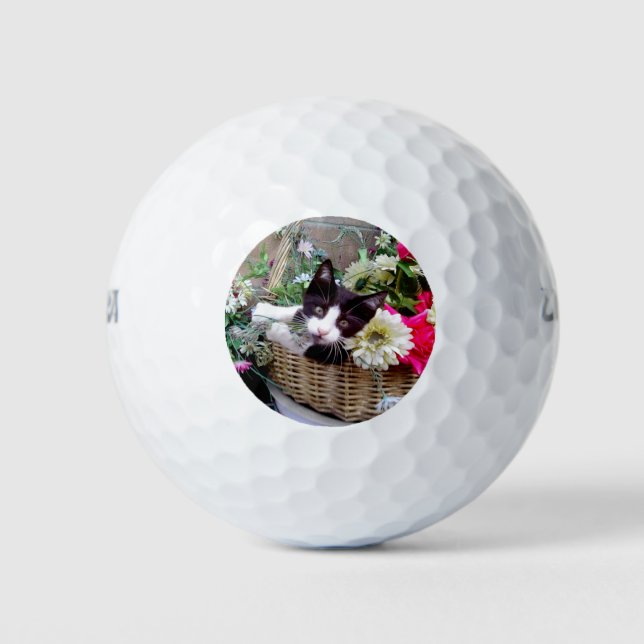 Balles De Golf Kitten (Devant)