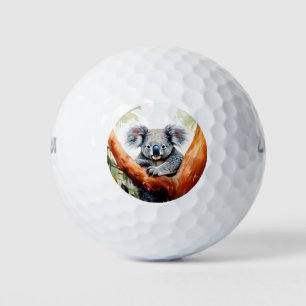 Balles De Golf Koala assise dans un gommier