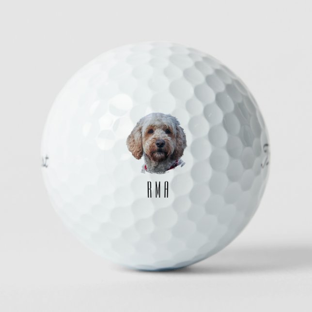 Balles De Golf Labradoodle (Recto)