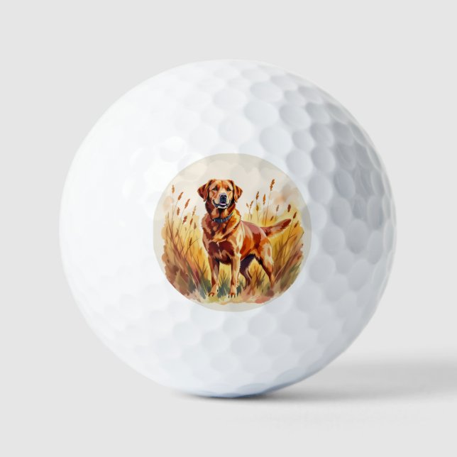 Balles De Golf Labrador Retriever Chien Rouge Renard (Recto)