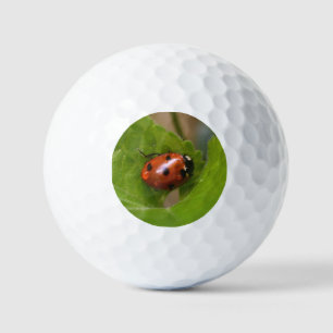 Balles De Golf Ladybug sur les fleurs de violet doux