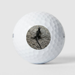 Balles De Golf Lézard noir