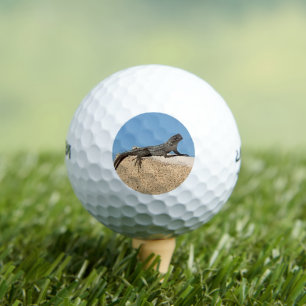 Balles De Golf Lézard sur Brique