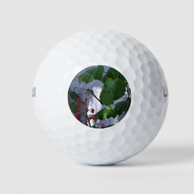 Balles De Golf libellule de Spiketball (Devant)