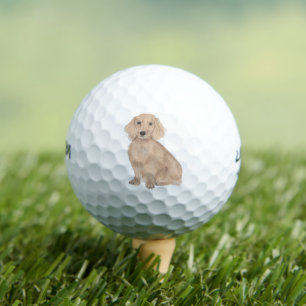 Balles De Golf Long Haired Anglais Dachshund