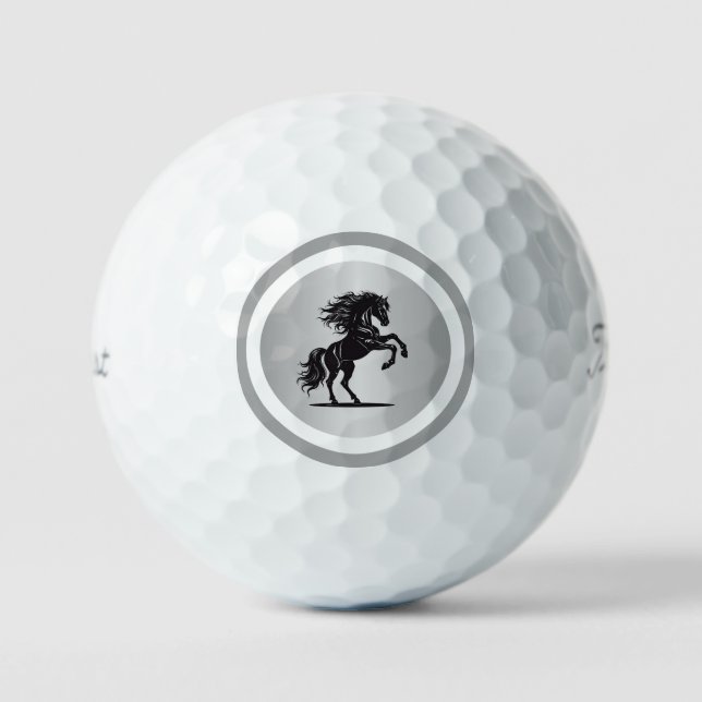 Balles De Golf Luxe Silver Horseback Golf Balls (Recto)
