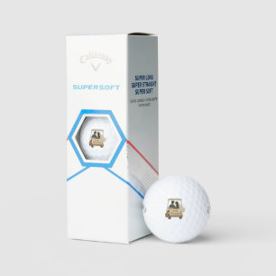 Balles De Golf Marié et marié dans un panier de golf