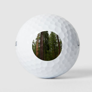 Balles De Golf Mariposa Grove dans le parc national de Yosemite