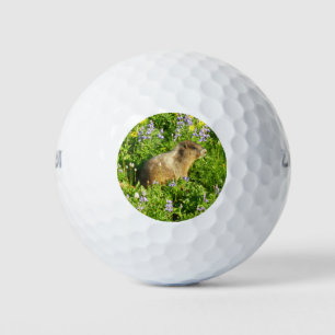 Balles De Golf Marmot dans le Mont Rainier Fleurs sauvages