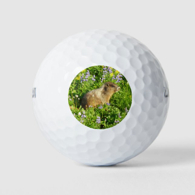 Balles De Golf Marmot dans le Mont Rainier Fleurs sauvages (Devant)