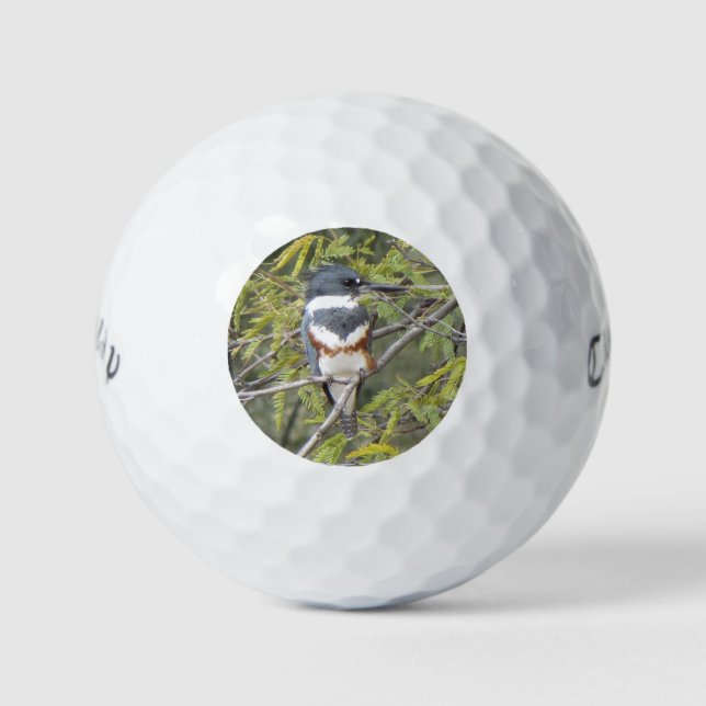 Balles De Golf Martin-pêcheur (Devant)