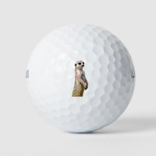 Balles De Golf Meerkat - Style Pop Art & Posterisé