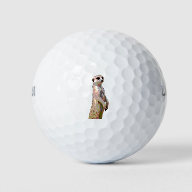 Balles De Golf Meerkat - Style Pop Art & Posterisé (Devant)