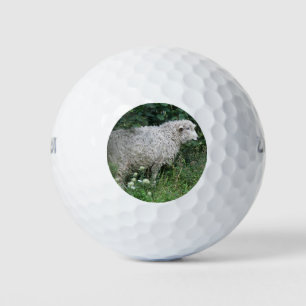 Balles De Golf Mignonette Gourde Manger Golf Ball