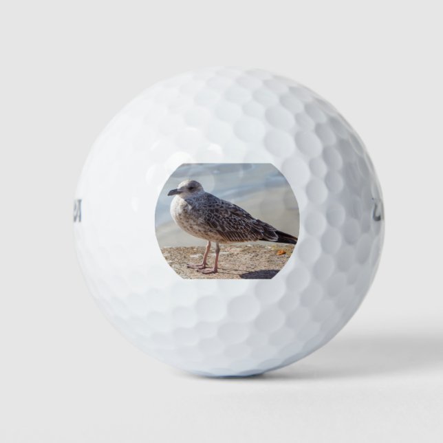 Balles De Golf Mouette sur un mur (Devant)