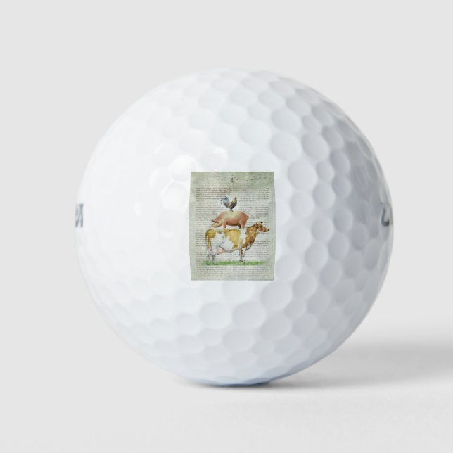 Balles De Golf NOB11 Agritourisme B1.tif (Devant)