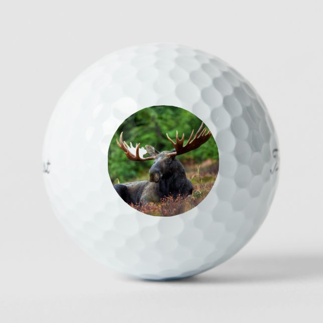 Balles De Golf Oie (Recto)