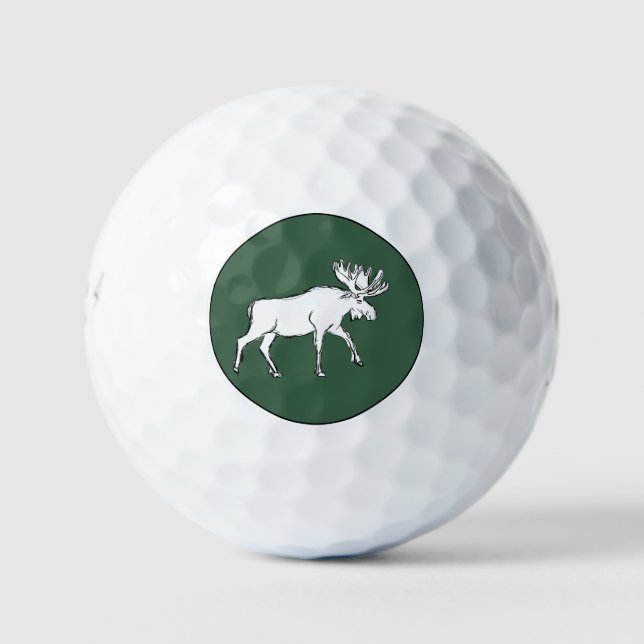Balles De Golf Oie blanche (Devant)