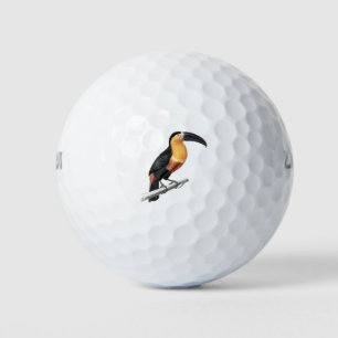 Balles De Golf oiseau toucan vintage