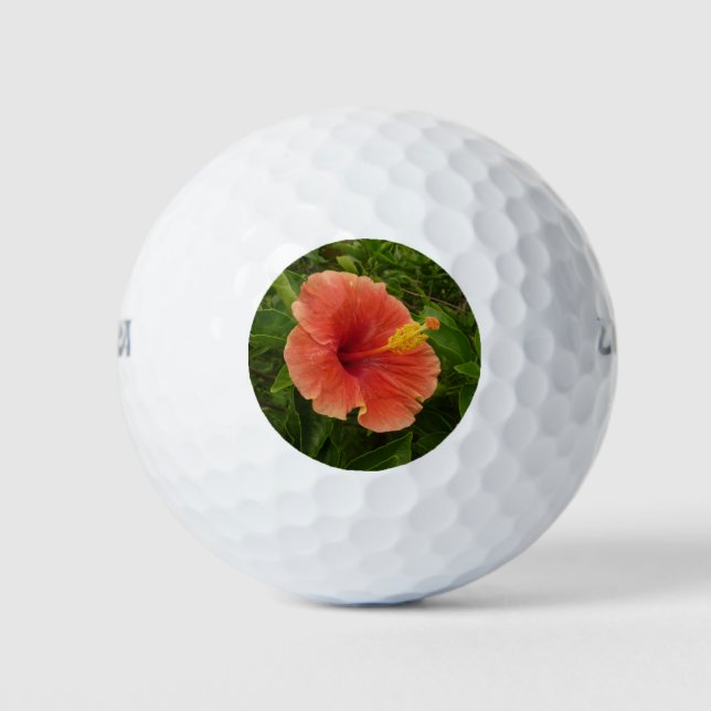 Balles De Golf Orange Hibiscus Fleur Tropical Floral (Devant)
