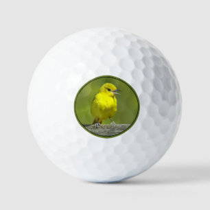 Balles De Golf Orchard Oriole - Photo originale