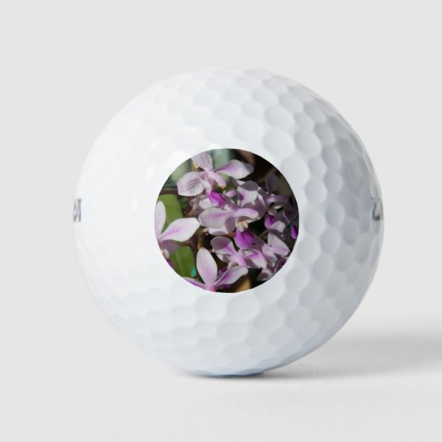 Balles De Golf orchidées miniatures (Devant)
