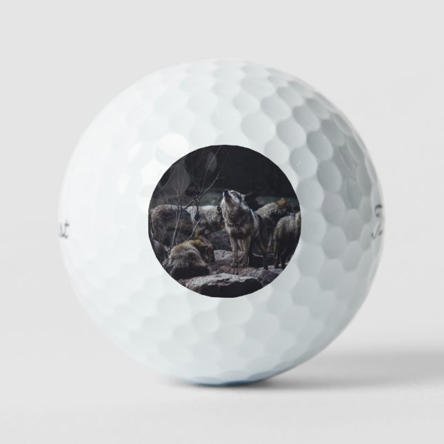 Balles De Golf Pack Wolf (Recto)