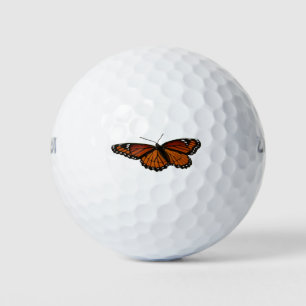 Balles De Golf Papillon Limenitis Artémis Photographie De La Bell