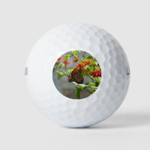 Balles De Golf Papillon monarque sur le papillon rouge Bush