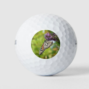 Balles De Golf Papillon Monarque sur papillon pourpre Bush