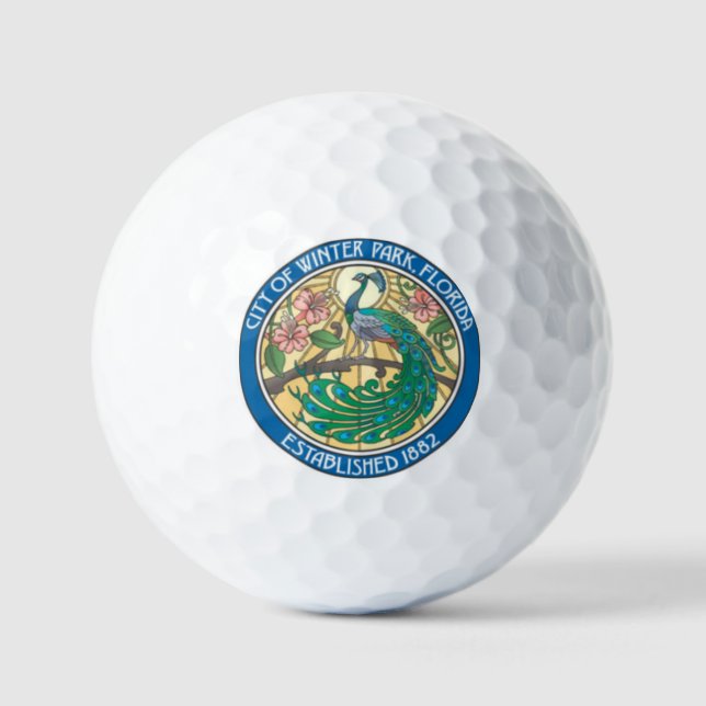 BALLES DE GOLF PARK D'HIVER FLORIDE (Recto)