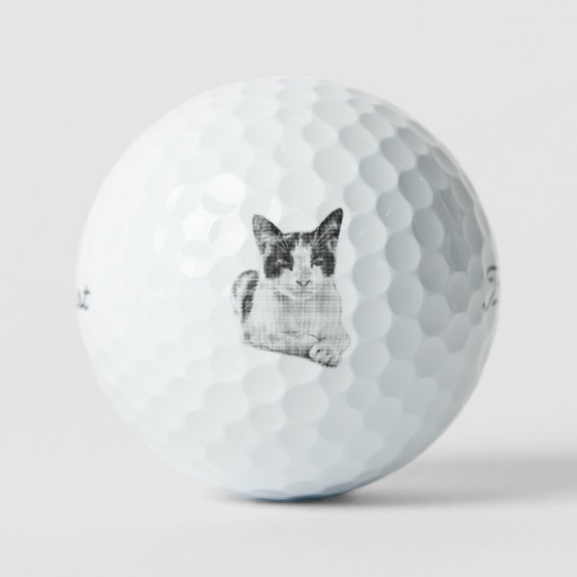 Balles De Golf Paw Halftone (Recto)