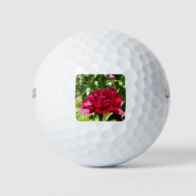 Balles De Golf Peonées de velours de Maron foncé (Devant)
