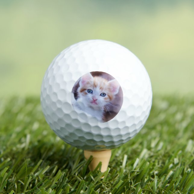 Balles De Golf Personnalisé Pet Cat Photo Moderne (T-shirt Insitu)