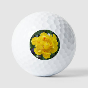 Balles De Golf Petites tulipes jaunes dans le jardin