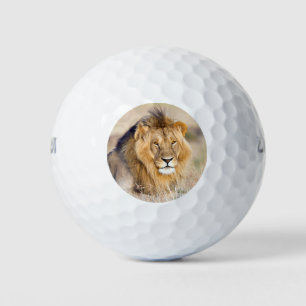 Balles De Golf Photo d'animal de lion majestueux