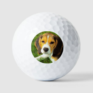 Balles De Golf Photo de chien Beagle pour animal de compagnie per