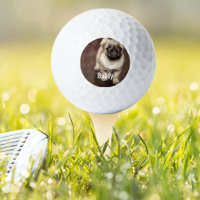 Photo de chien de Carlin personnalisé et nom de ch