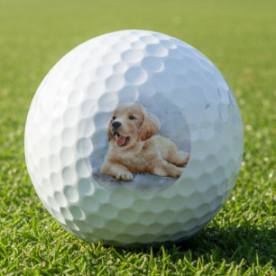 Balles De Golf Photo de chien personnalisé