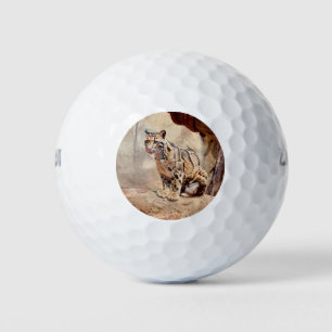 Balles De Golf photo de léopard nuageux nature faune exotique