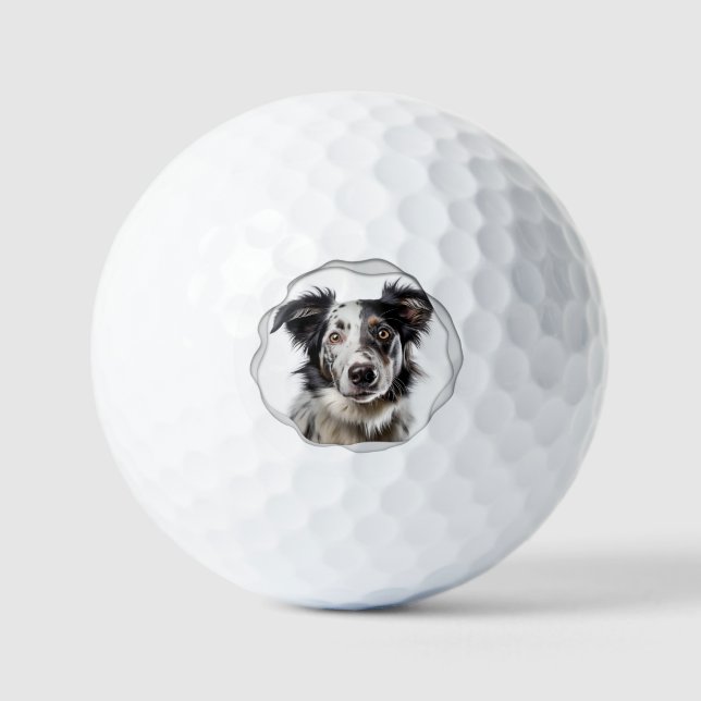 Balles De Golf Photo moderne personnalisée pour chien de compagni (Recto)