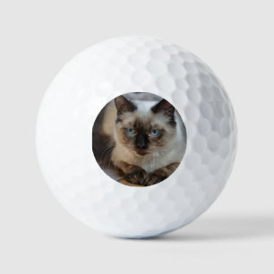 Balles De Golf Photo personnalisée pour animaux