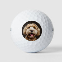 Photo personnalisée pour chien de compagnie