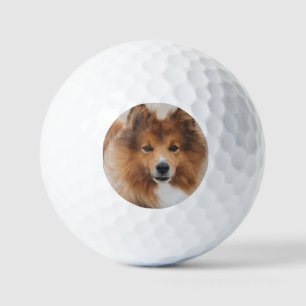 Balles De Golf Photo pour animal personnalisé moderne
