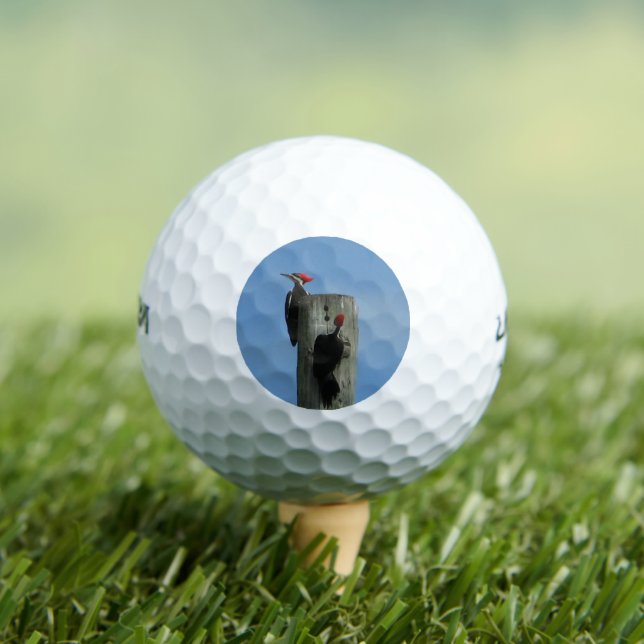 Balles De Golf Pic sur un pôle photo (T-shirt Insitu)