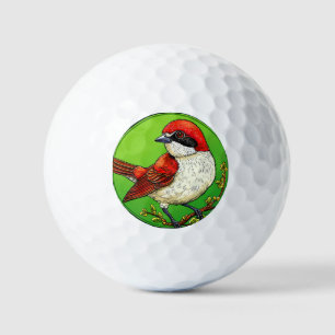 Balles De Golf Pie grièche à dos rouge coloré