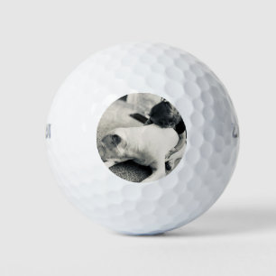 Balles De Golf Pitbulle de chiot doré et petits bouddins