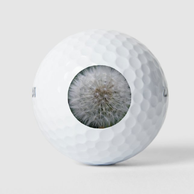 Balles De Golf Plante Dandelion Flower Golf Ball (Devant)