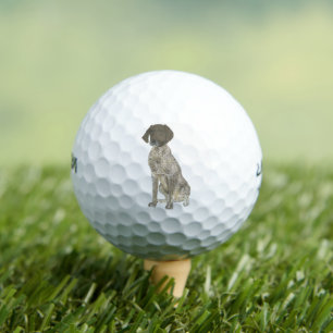 Balles De Golf Pointeur à poils courts germanique blanc et foie