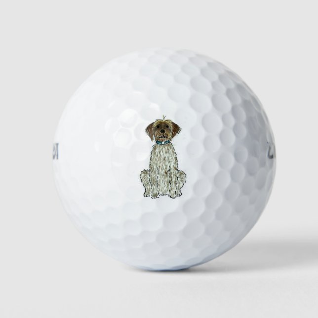 Balles De Golf Pointeur à poils durs Griffon Golf Balls (Devant)